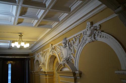 Hotel Rubinshteina 5
