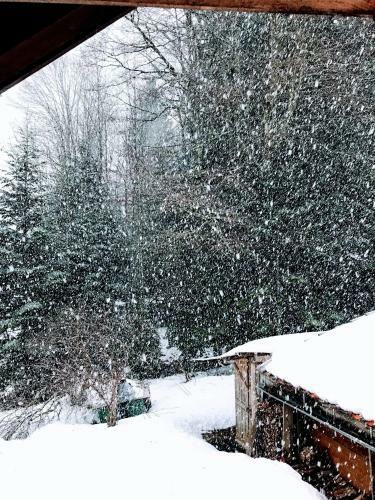 Paccots: Chalet Pour 4 Personnes - Calme