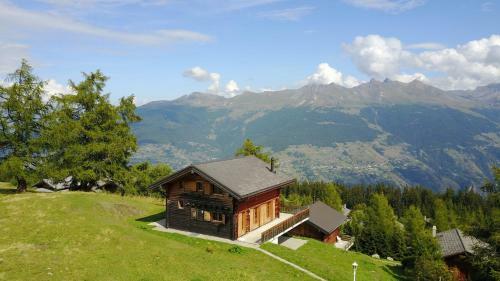 Narnia Ski In & Ski Out Chalet 14 Pers