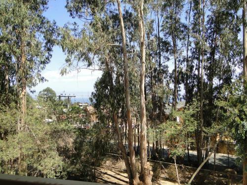 Apartamento Costa Algarrobo