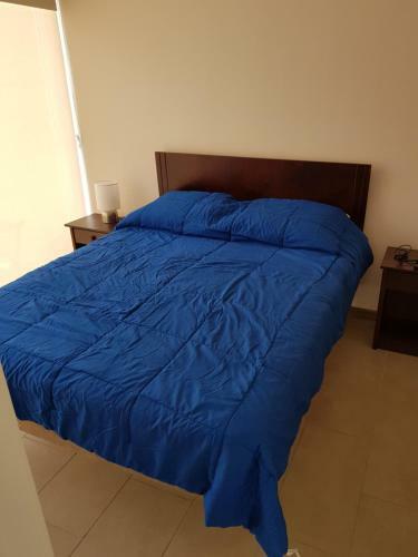 Apartamento Con Jardin A Pasos Del Mar La Serena