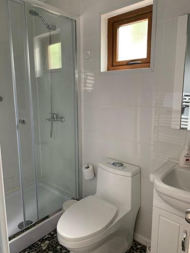 Lodge Rumbo Suites