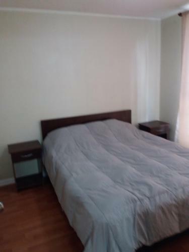 Apartamento Depto Metro Irarrazaval