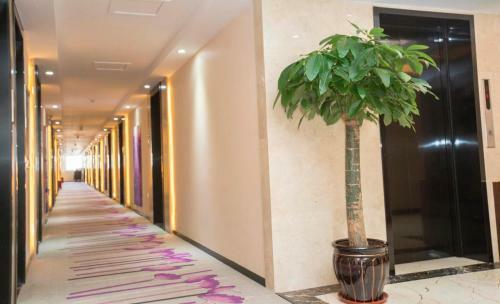 Lavande Hotels�dalian Xinghai Park