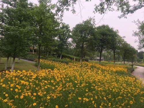 Hotel 7days Inn Ji`an Chengnan Government Centre