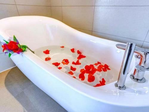 Lavande Hotel Harbin Shimao Avenue Wanda Branch