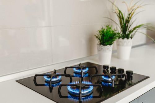 Apartamento Aurora