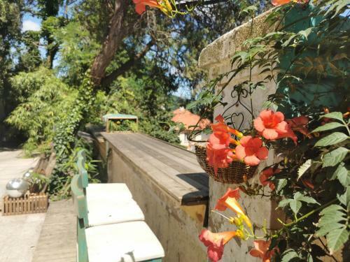 Qingdao Top Yunyin Homestay