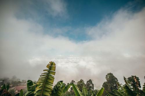 La Cima Eco Hotel