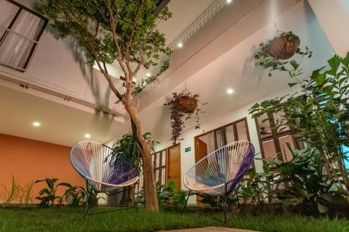 Bed & Breakfast Hotel Casa Madre