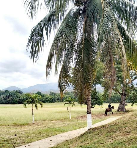 Hacienda Hotel Igu�