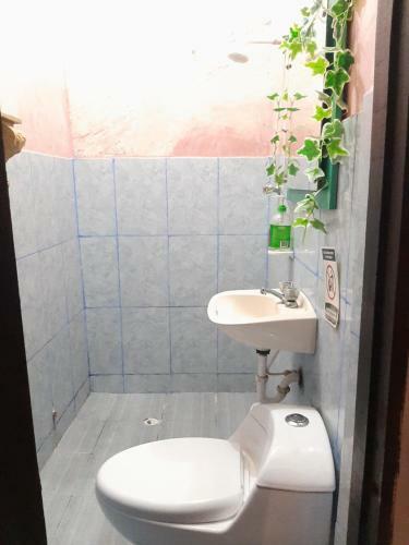 Albergue Hostal Pachamama Blue