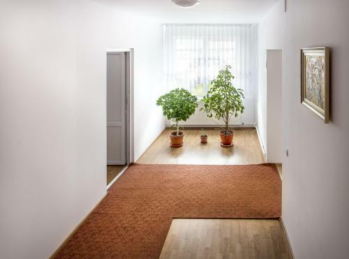 Hostal Pension Artemis