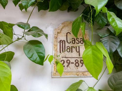 Casa Mary B&B