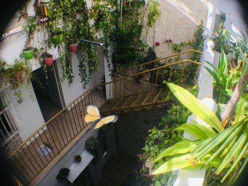 Casa Mary B&B