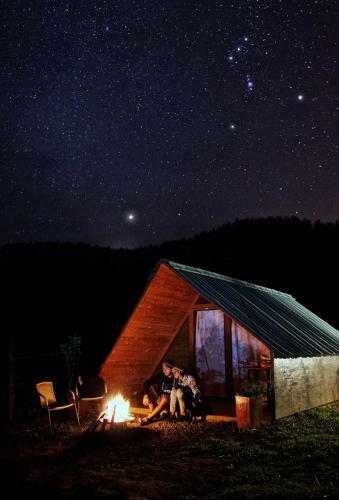Glamping Curit�