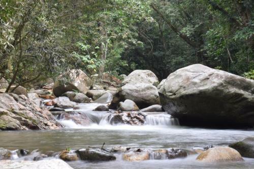 Hospedaje Los Pinos, Caba�a En Minca