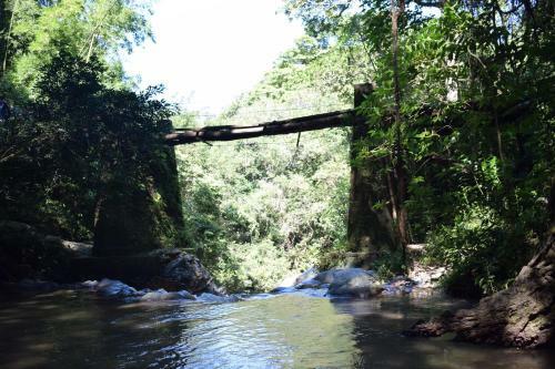 Hospedaje Los Pinos, Caba�a En Minca