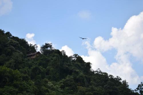 Hospedaje Los Pinos, Caba�a En Minca