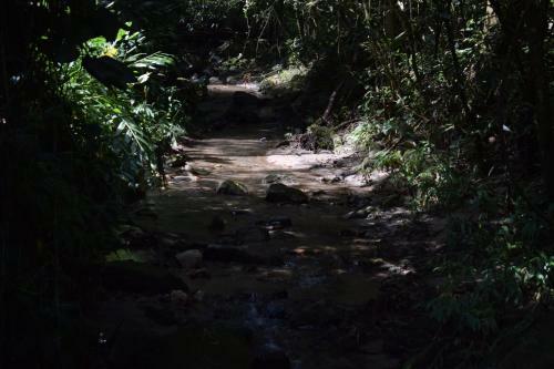 Hospedaje Los Pinos, Caba�a En Minca
