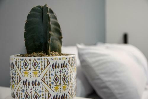 Bed & Breakfast Alma Hotel