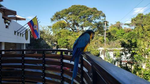 Hotel On The Rock Minca