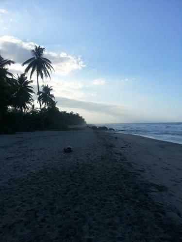 Posada Caba�as San Sebastian Palomino Beach Hostel