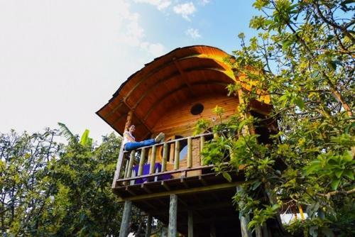 Hotel La Reserva Caba�as