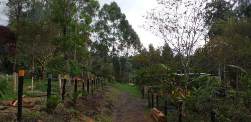 Finca La Herradura Alojamiento Rural