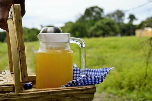 Utopia Glamping