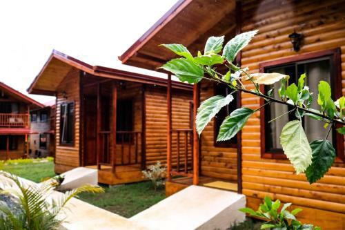 Hotel Clusia Lodge