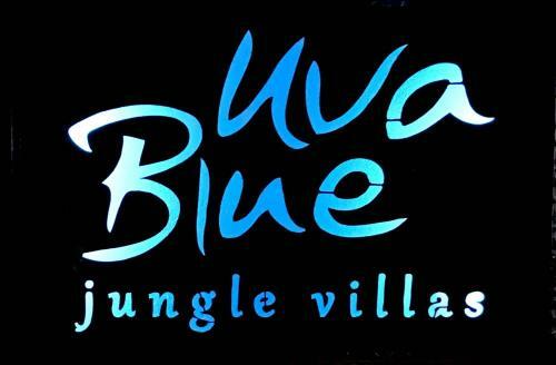 Hostal Villa # 3 - High End Studio Apartment