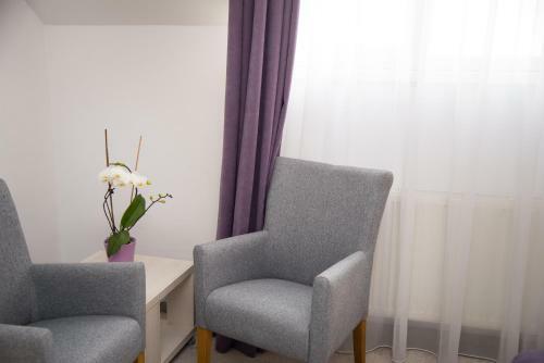 Apartamento Pensiunea Amso