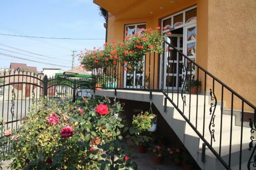 Apartamento Pensiunea Amso