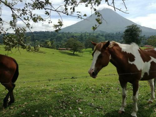 Posada Casona R�stica & Bungalow