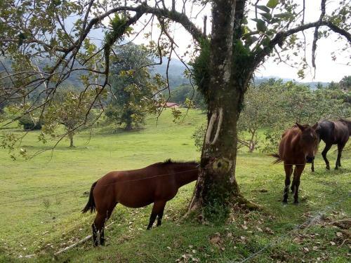 Posada Casona R�stica & Bungalow