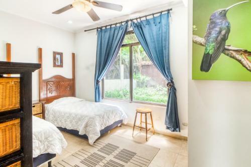 Apartamento La Paloma Blanca B1