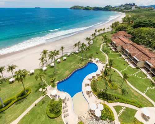 Palms 19