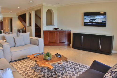 Palms 19