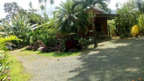Bed & Breakfast Posada Rio Celeste In