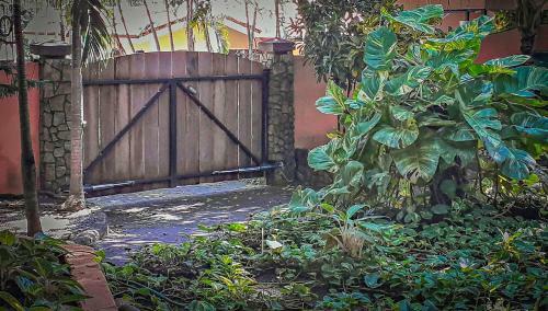 Hostal Moonshadow Costa Rica