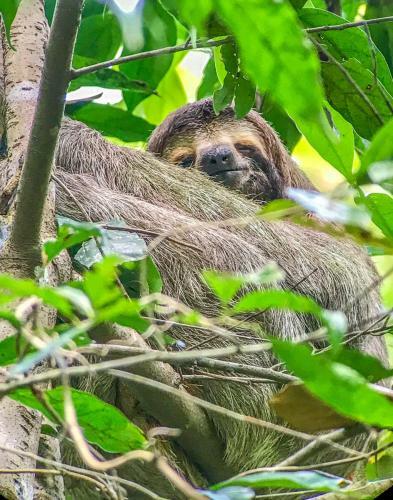 Hostal Moonshadow Costa Rica