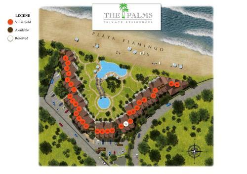 Palms 24