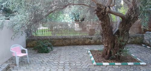 Villa Suluca Homes