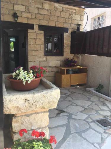 Unique Traditional Palace House Pachna