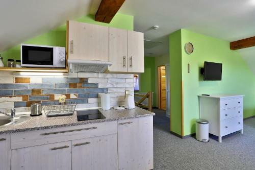 Apartments Pavel