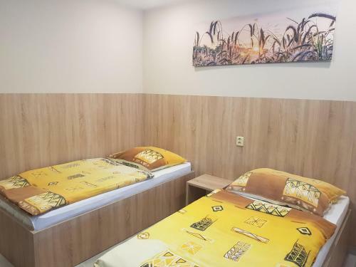 Hostal Penzion Hudebka