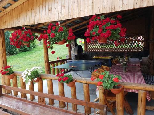 Hostal Pensiunea Dorali