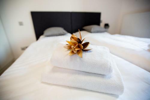 Hostal Exclusive Penzion Viva Residence
