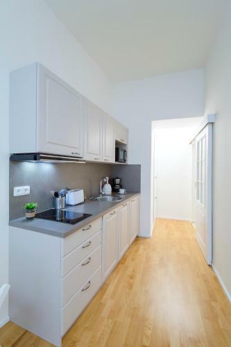 Modern Apartment Pricna 4